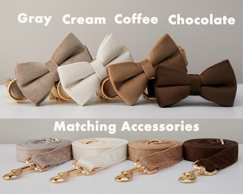 Elegant Velvet Collar & Leash - Soft, Stylish & Sweet