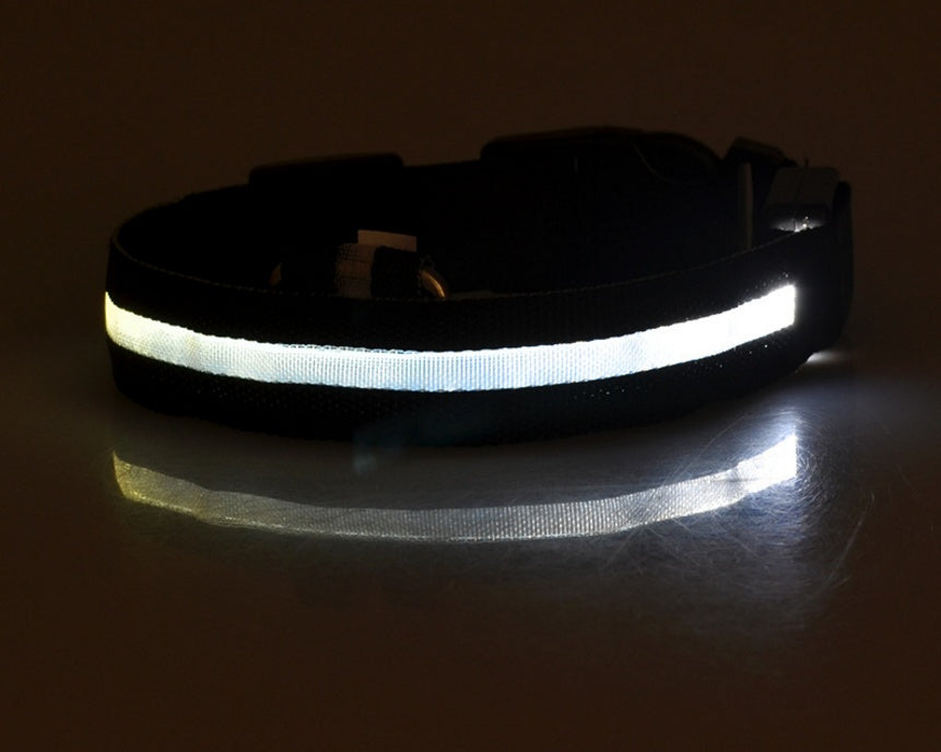LED Collar for Safer Nighttime Walks