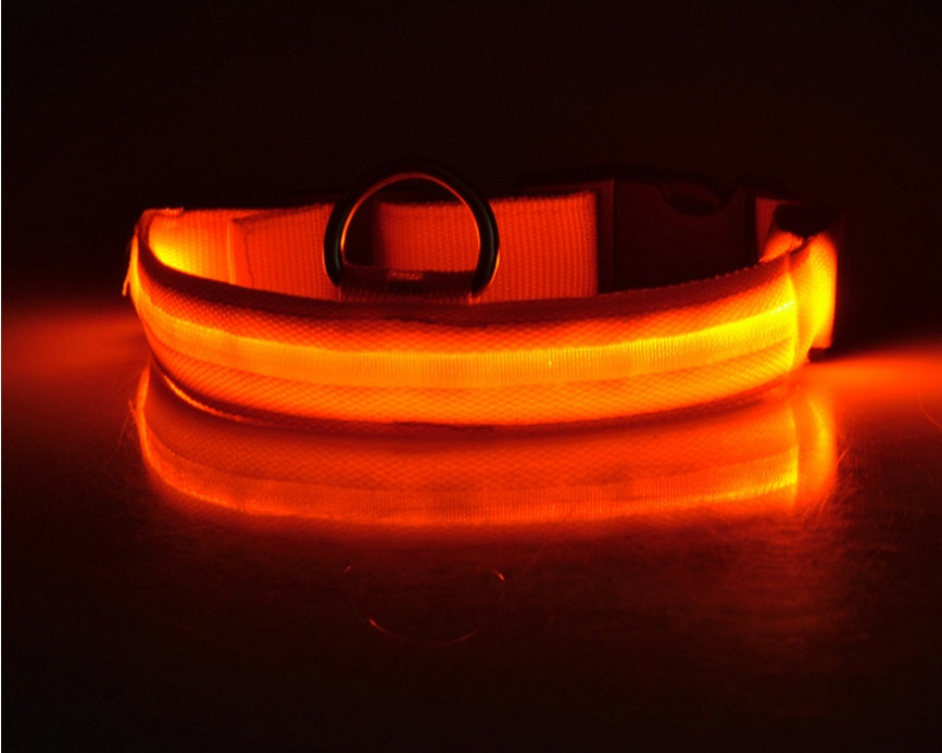 LED Collar for Safer Nighttime Walks