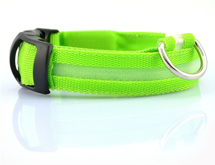 LED Collar for Safer Nighttime Walks