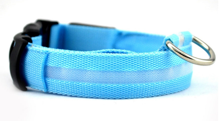 LED Collar for Safer Nighttime Walks