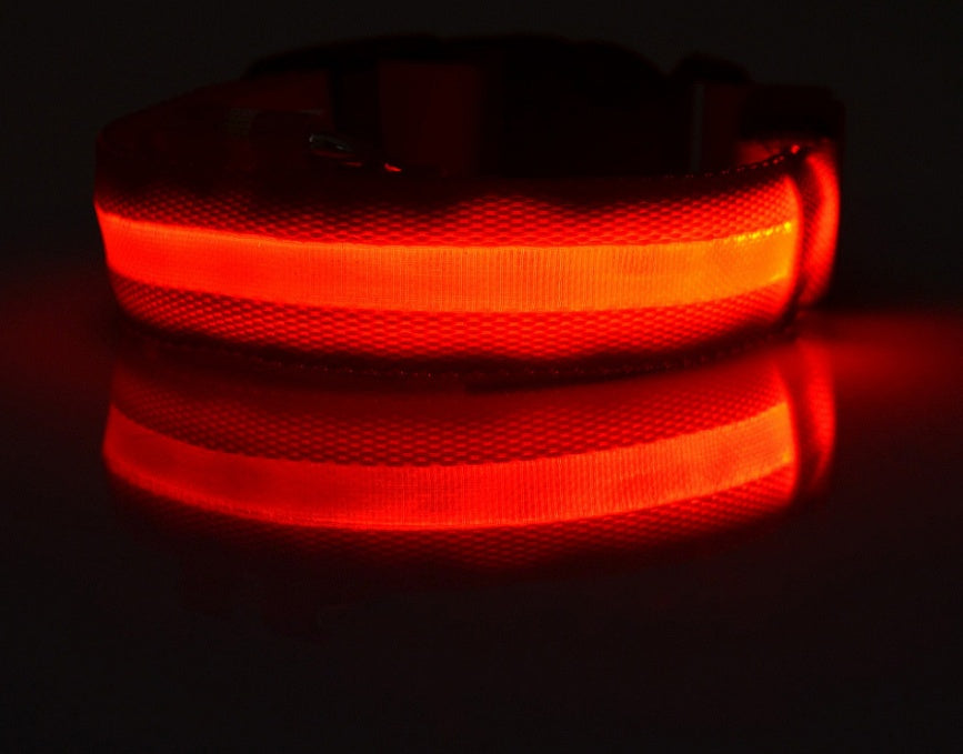 LED Collar for Safer Nighttime Walks