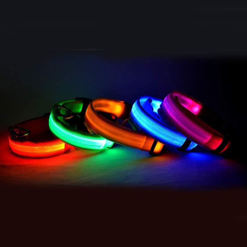 LED Collar for Safer Nighttime Walks