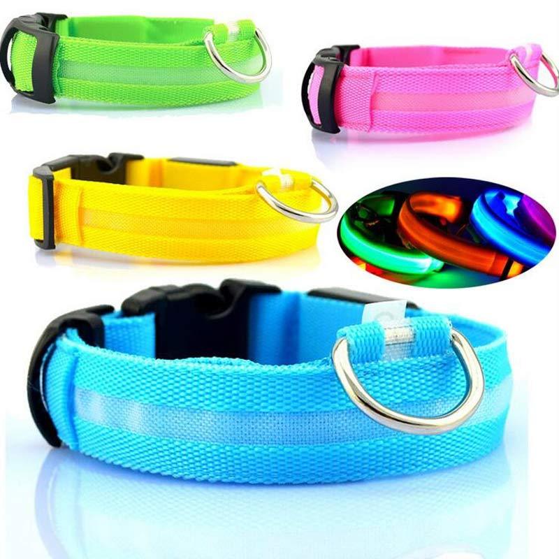LED Collar for Safer Nighttime Walks