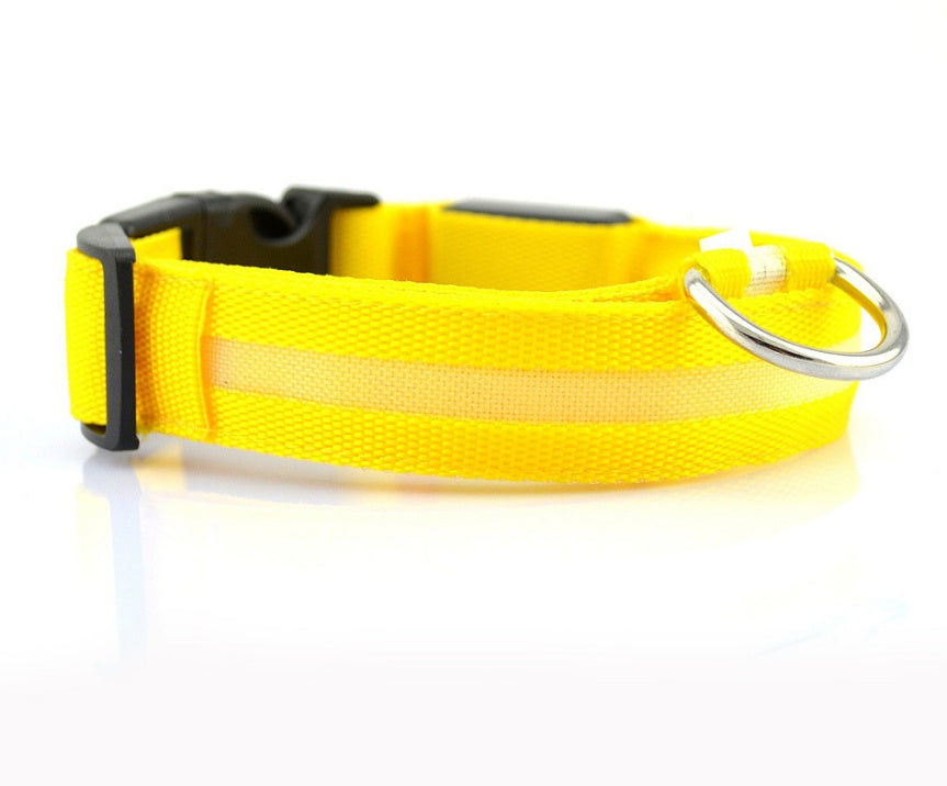 LED Collar for Safer Nighttime Walks
