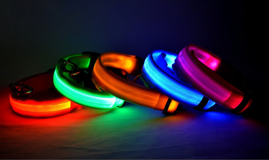 LED Collar for Safer Nighttime Walks