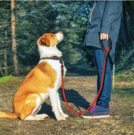 Durable Reflective Leash - Perfect for Daily Walks