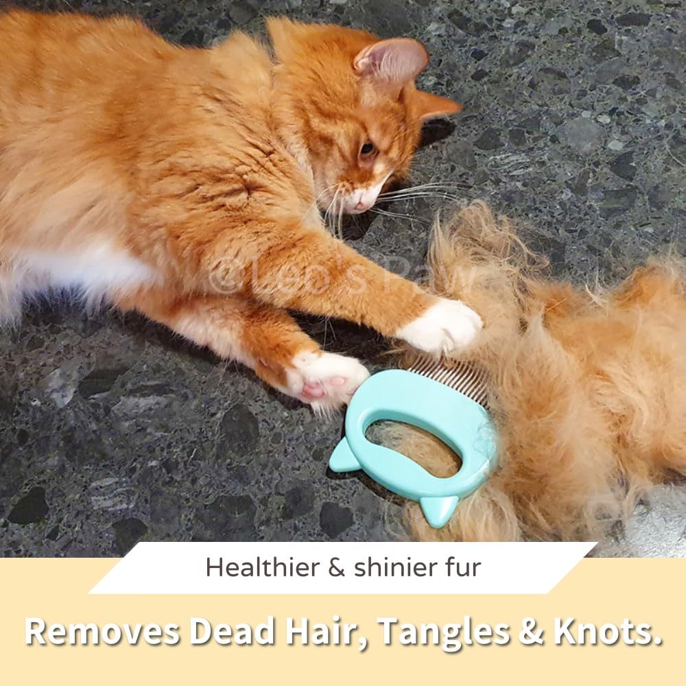 Goodbye Tangles! Gentle Grooming Brush for Dogs, Cats & Bunnies