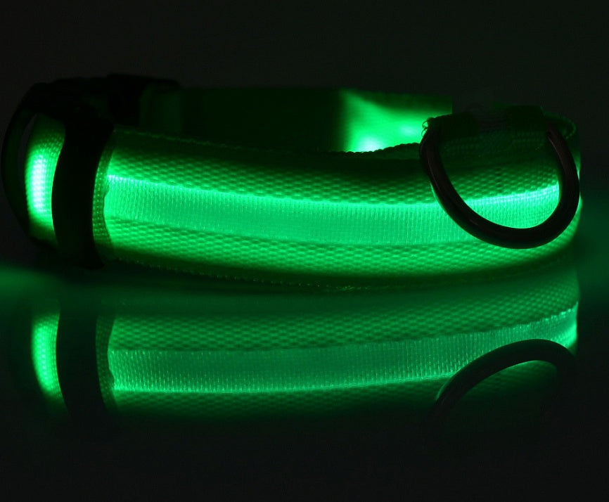LED Collar for Safer Nighttime Walks