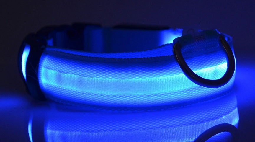LED Collar for Safer Nighttime Walks
