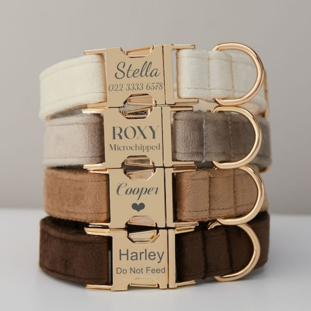 Elegant Velvet Collar & Leash - Soft, Stylish & Sweet