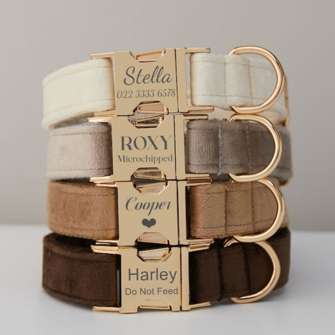 Elegant Velvet Collar & Leash - Soft, Stylish & Sweet