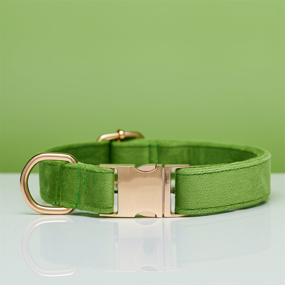 Elegant Velvet Collar & Leash - Soft, Stylish & Sweet