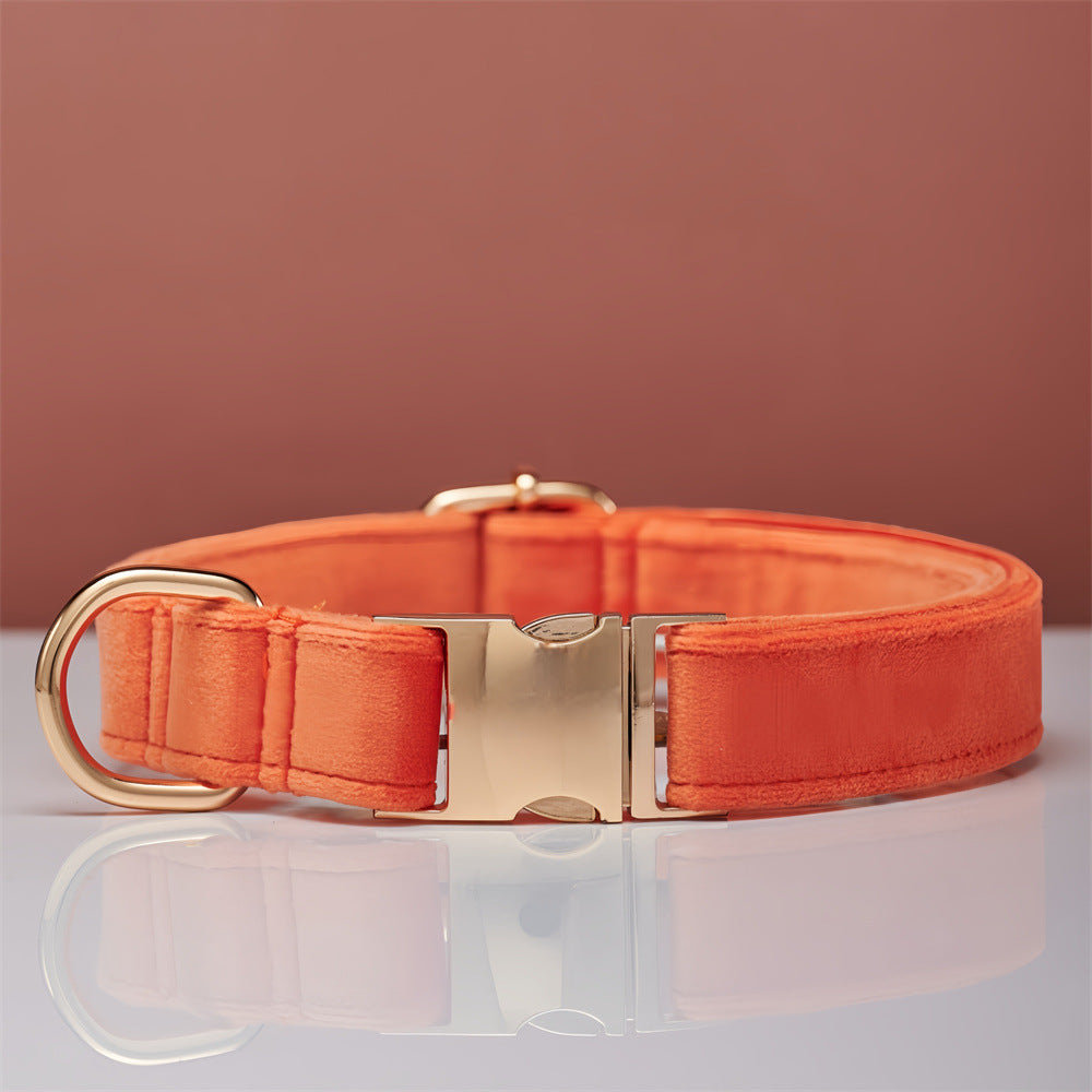 Elegant Velvet Collar & Leash - Soft, Stylish & Sweet